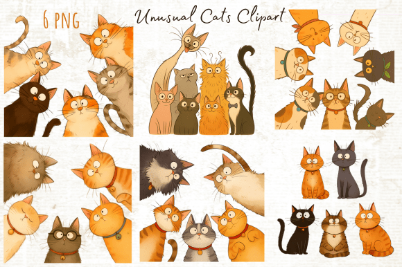 Download Funny Unusual Cats Clipart Png - Funny Collection