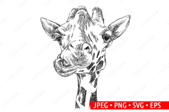Download Cute Giraffe Funny Clipart Illustration - Funny Collection